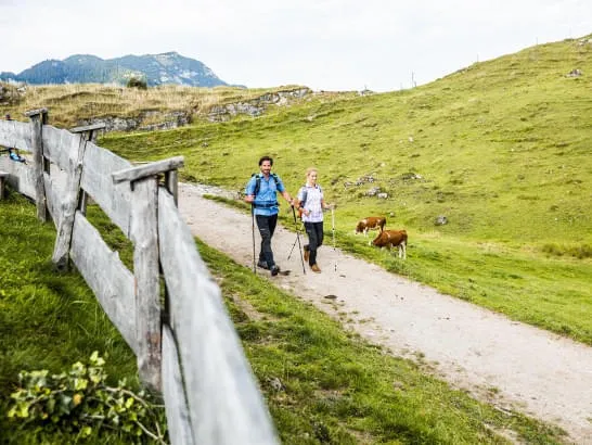 Wandern