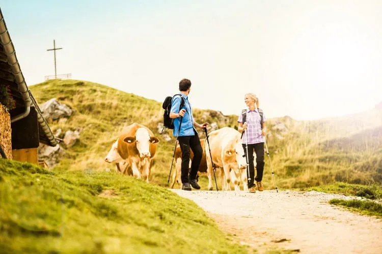 Die-schoensten-Wanderwege Die-schoensten-Wanderwege